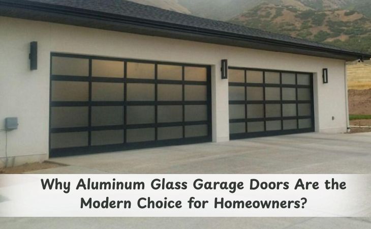 Aluminum Glass Garage Doors